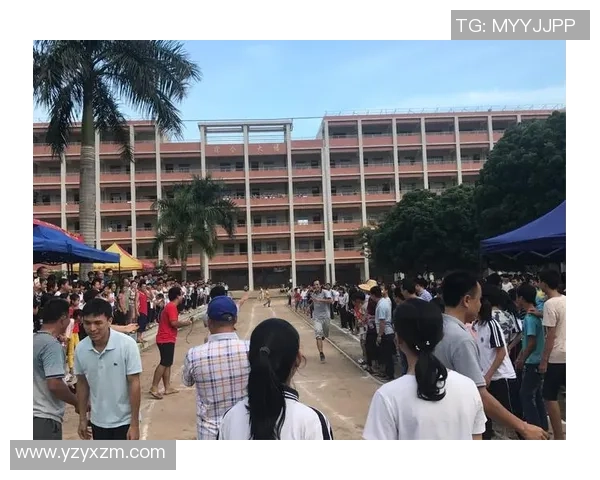 上海乒乓球队在联合会杯中的拼搏历程与辉煌成就回顾